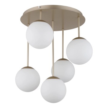 Globo - Przysufitowy żyrandol 5xE14/25W/230V mosiądz