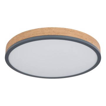 Globo - Ściemialna oprawa sufitowa LED/24W/230V 3000-6500K śr. 45 cm