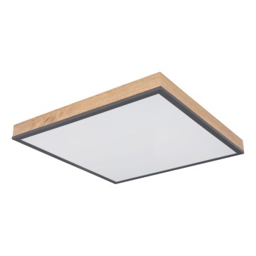 Globo - Ściemnialna oprawa sufitowa LED/24W/230V 3000-6500K 45x45 cm