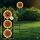 Globo - Solarna lampa LED 200xLED/3V IP44 600 mAh kwiat