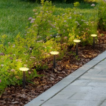 Globo - solarny łańcuch świetlny LED, 5 diod LED, 3V, IP44, 300 mAh, 2,2 m, kwiaty