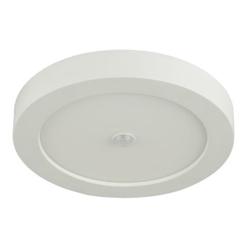 Globo - zewnętrzna oprawa sufitowa LED z czujnikiem LED/18W/230V IP44