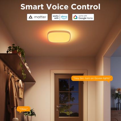 Govee - LED RGBIC Plafon ściemnialny LED/24W/230V 2700-6500K Wi-Fi 30x30 cm