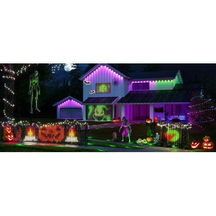 Govee - LED RGBIC Zewnętrzna sieć oświetleniowa 143x85cm Wi-Fi Matter IP65
