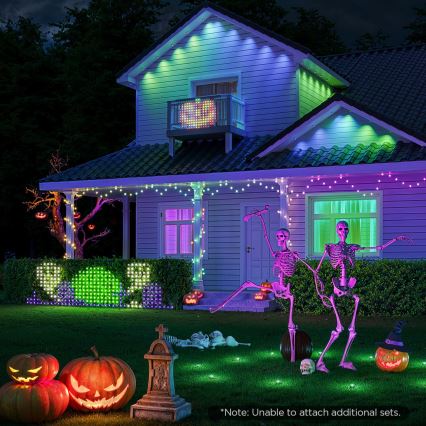 Govee - LED RGBIC Zewnętrzna sieć oświetleniowa 143x85cm Wi-Fi Matter IP65