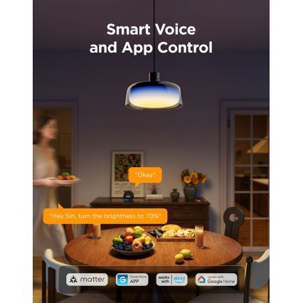 Govee - LED RGBICWW ściemnialna lampa wisząca na przewodzie LED/21W/230V Matter Wi-Fi