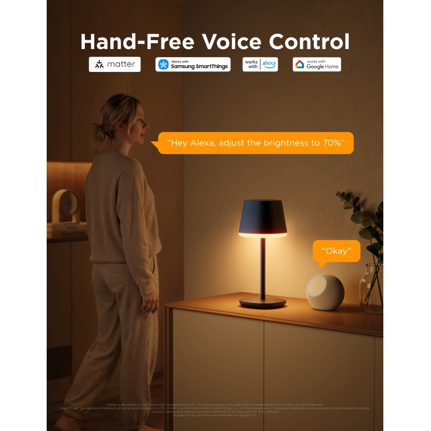 Govee - LED RGBICWW Ściemniana lampa stołowa CLASSIC MATTER LED/10W/5V 4800mAh Wi-Fi