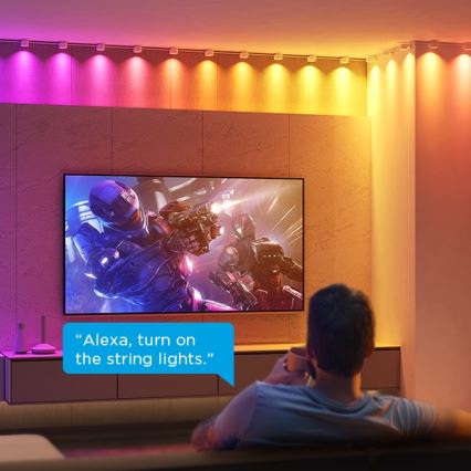 Govee - RGBIC LED Oprawa sznurkowa 5m Wi-Fi