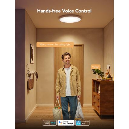 Govee - LED RGBICWW ściemnialna oprawa sufitowa LED/29W/230V śr. 30 cm matowa Wi-Fi