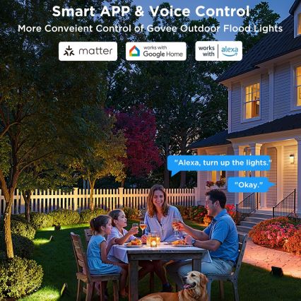 Govee - Zestaw 4x naświetlaczy LED RGBICWW ściemnialnych/24W/230V IP66 Matter Wi-Fi