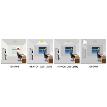 Greenlux GXPR081 - LED Plafon ściemnialny RENO PROFI LED/16W/230V IP66