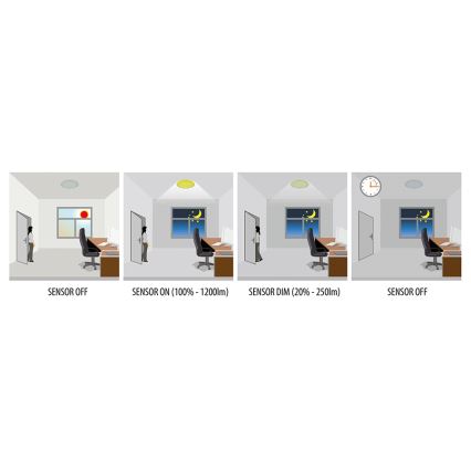 Greenlux GXPR084 - LED Plafon ściemnialny RENO PROFI LED/16W/230V IP66