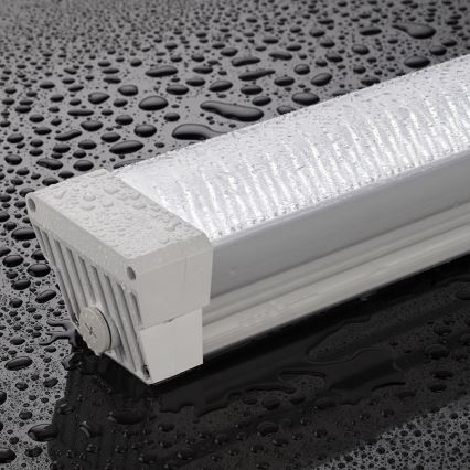 Greenlux GXWP171 - LED Oprawa świetlówkowa DUST PROFI LED/55W/230V IP66