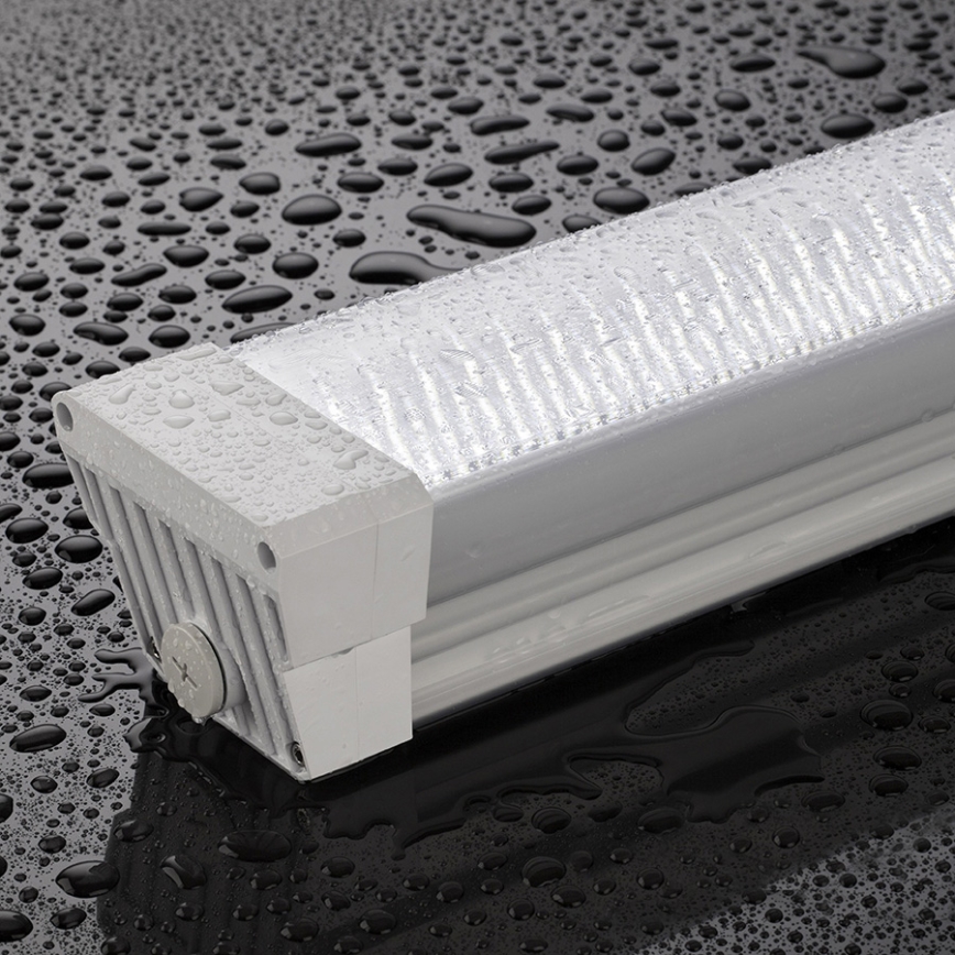 Greenlux GXWP171 - LED Oprawa świetlówkowa DUST PROFI LED/55W/230V IP66