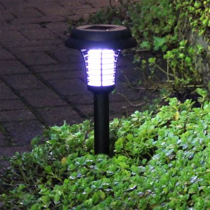 Grundig 12217 - Lampa solarna LED i pułapka na owady LED / 1xAA