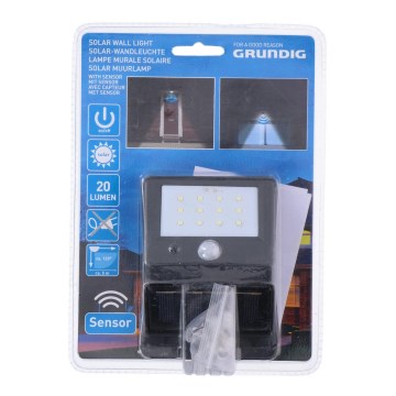 Grundig - LED Lampa solarna z czujnikiem ruchu i zmierzchu LED/0,25W/1xAA 600 mAh