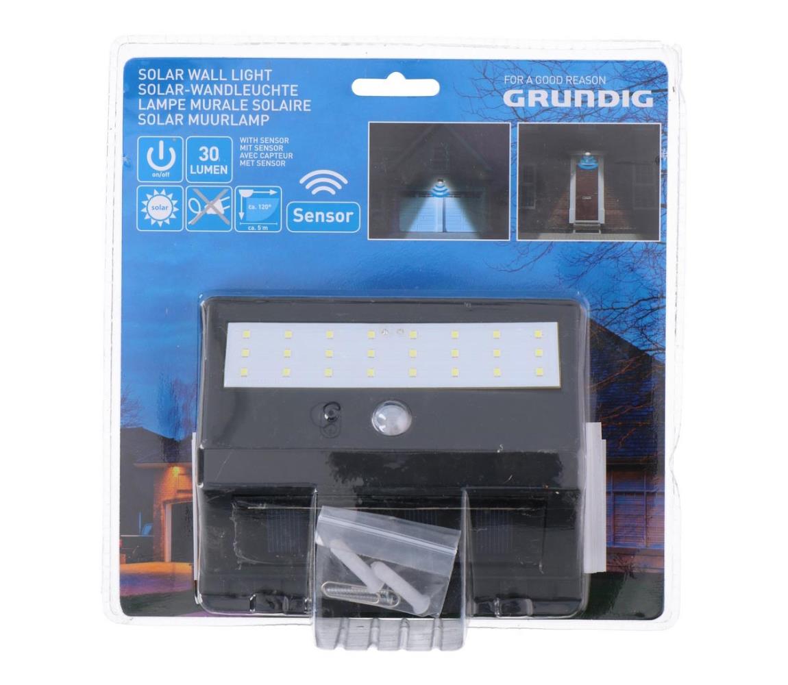 Grundig - LED Oświetlenie solarne z czujnikiem 1xLED/0,25W/1xAA