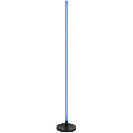Grundig - LED RGB ściemniana lampa stojąca LED/5W/5V + zdalne sterowanie