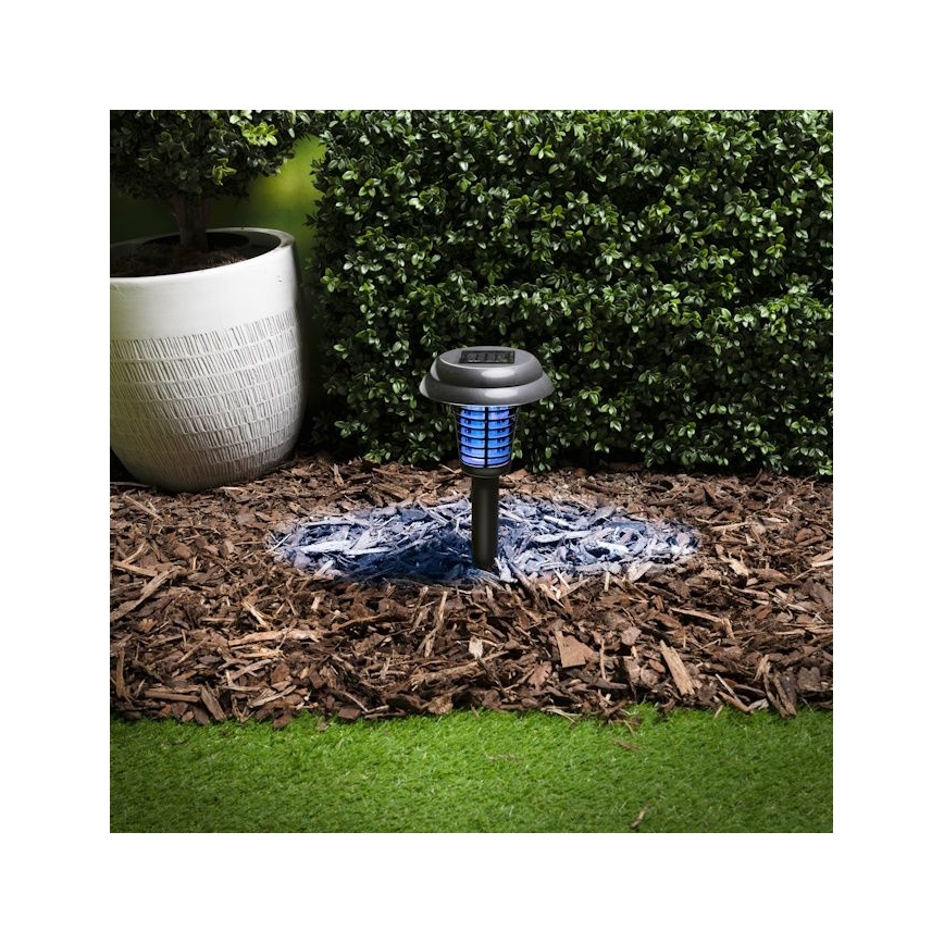 Grundig - Solarna lampa LED i pułapka na owady UV LED/1xAA 600 mAh IPX4