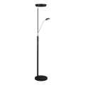 Halo Design 716067 - Ściemnialna lampa stojąca LED VEGAS LED/20W/230V + LED/5W czarny/błyszczący chrom