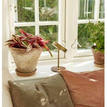 Halo Design 745784 - ściemnialna ładowalna lampa stołowa LED ON THE MOVE LED/2,5W/4000 mAh mosiądz/drewno