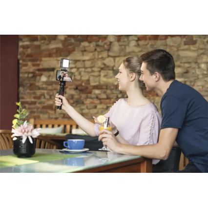 Hama - LED Ściemnialne oświetlenie do telefonów, aparatów i kamer video LED/5,5W/2xAA