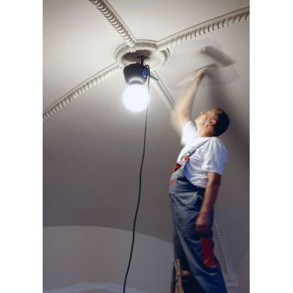 Helios 306-WLG223 - LED Oprawa oświetleniowa techniczna WORK GLOBE 2 LED/23W/230V
