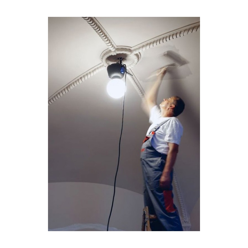Helios 306-WLG223Z - LED Oprawa oświetleniowa techniczna WORK GLOBE 2 LED/23W/230V