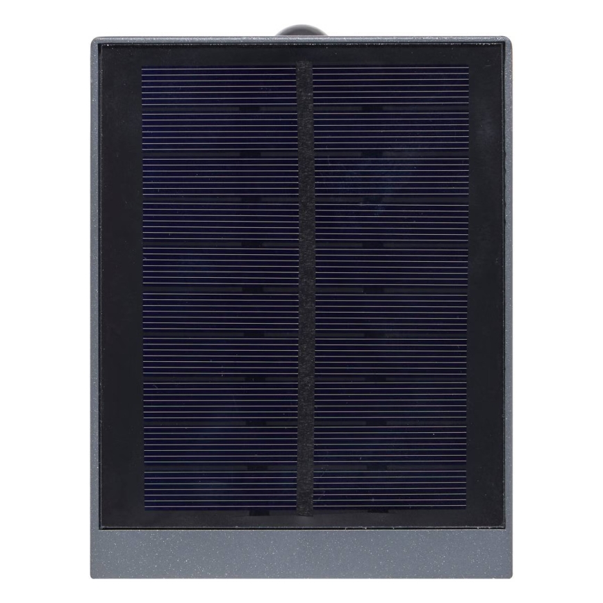 Hesperide - LED solarny kinkiet z czujnikiem ruchu i zmierzchu MULTY LED/3,7V 2600 mAh IP65 antracyt