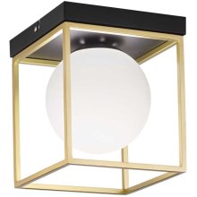 Ideal Lux - Lampa sufitowa LINGOTTO 1xE14/40W/230V