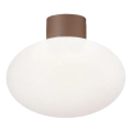 Ideal Lux - Lampa sufitowa zewnętrzna CLIO 1xE27/42W/230V IP44 brązowa
