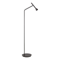 Ideal Lux - LED Lampa podłogowa DIESIS LED/4,5W/230V CRI 95 czarny