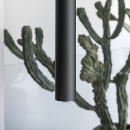 Ideal Lux - LED lampa wisząca na lince LOOK 1xGU10/7W/230V, CRI 90, średnica 6 cm, czarna