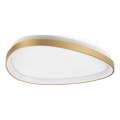 Ideal Lux - LED Plafon GEMINI LED/30W/230V śr. 61 cm CRI 90 złoty