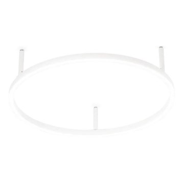 Ideal Lux - LED Plafon ORACLE SLIM LED/29W/230V 4000K śr. 50 cm biały