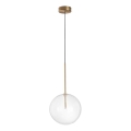 Ideal Lux - LED Żyrandol na lince EQUINOXE 1xG4/2W/230V śr. 25 cm mosiądz/przezroczysty