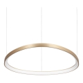 Ideal Lux - LED Żyrandol na lince GEMINI LED/59W/230V śr. 81 cm CRI 90 złoty