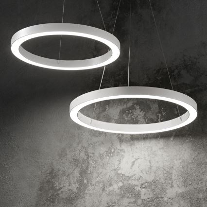 Ideal Lux - LED Żyrandol na lince ORACLE LED/35W/230V 3000K śr. 70 cm CRI 90 biały
