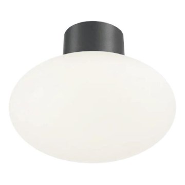Ideal Lux - Plafon zewnętrzny CLIO 1xE27/42W/230V IP44 antracyt