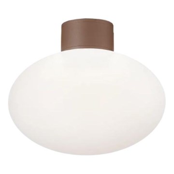 Ideal Lux - Plafon zewnętrzny CLIO 1xE27/42W/230V IP44 brązowy