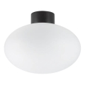 Ideal Lux - Plafon zewnętrzny CLIO 1xE27/42W/230V IP44 czarny