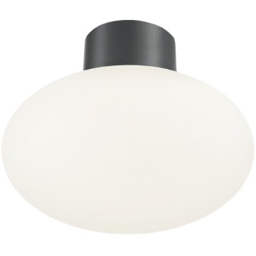 Ideal Lux - Zewnętrzna lampa sufitowa CLIO 1xE27/42W/230V śr. 28 cm IP44 antracyt