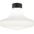 Ideal Lux - Zewnętrzna oprawa sufitowa CLIO 1xE27/42W/230V IP44 czarna