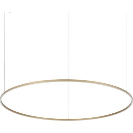 Ideal Lux - Żyrandol LED na linkach ORACLE SLIM LED/81W/230V 3000K CRI 90 śr. 150 cm złoty