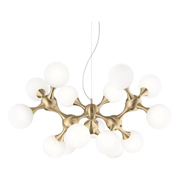Ideal Lux - Żyrandol na lince NODI 15xE14/28W/230V mosiądz