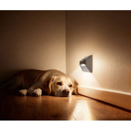 Ładowalna oprawa schodowa LED z czujnikiem ruchu i zmierzchu STEP LIGHT LED/0,3W/3,7V 2200 mAh IP53 szara