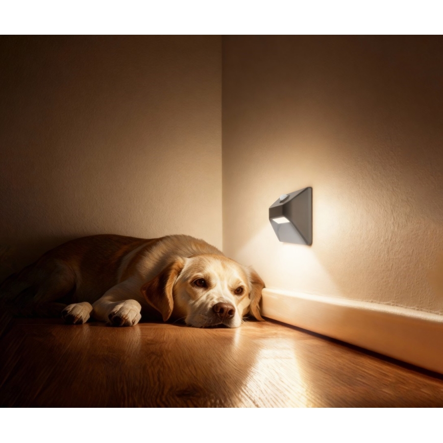 Ładowalna oprawa schodowa LED z czujnikiem ruchu i zmierzchu STEP LIGHT LED/0,3W/3,7V 2200 mAh IP53 szara