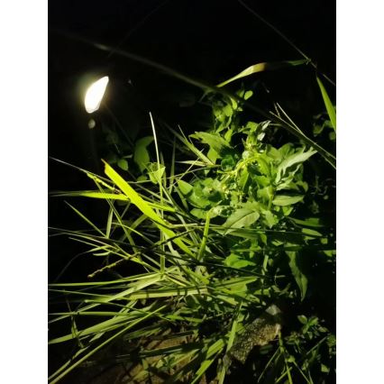 LED Lampa solarna z czujnikiem LED/1W/3,7V 6000K IP65