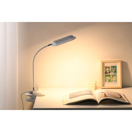 LED+CCT ściemnialna lampka biurkowa z klipsem CLIP LED/7,5W/230V 3000/4200/5000K biała