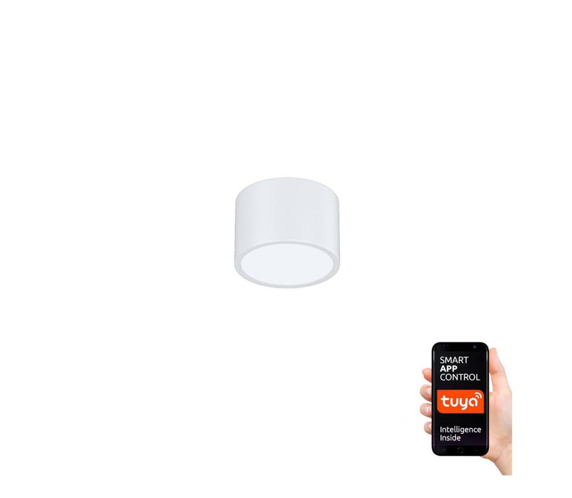 NEO 07024L-15 - LED Ściemnialne światło RONDATE LED/12W/230V białe
